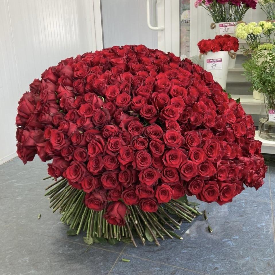 Букеты из красных роз 80 см (Эквадор) артикул букета: 39996