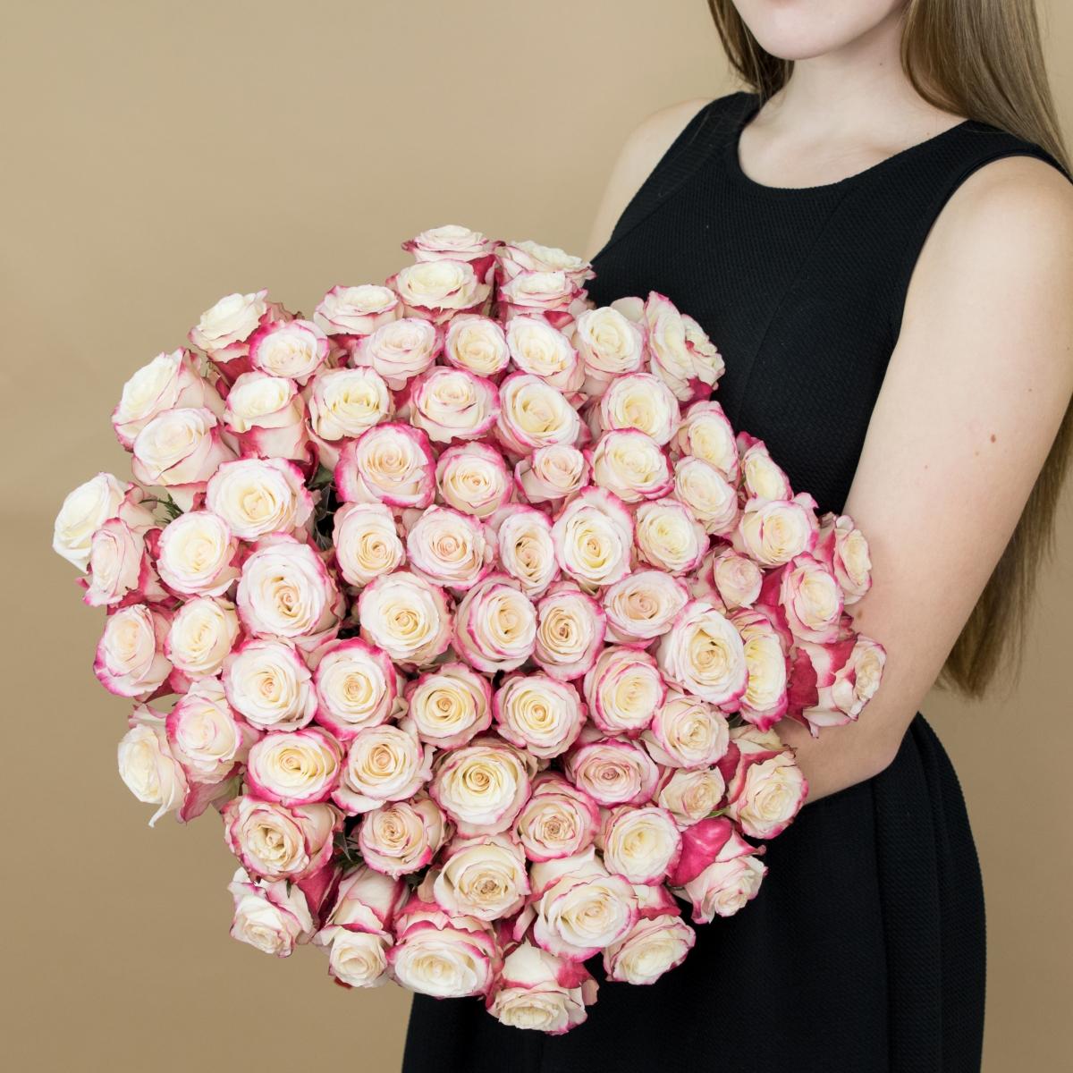 Розы красно-белые (40 см) Эквадор Артикул  99