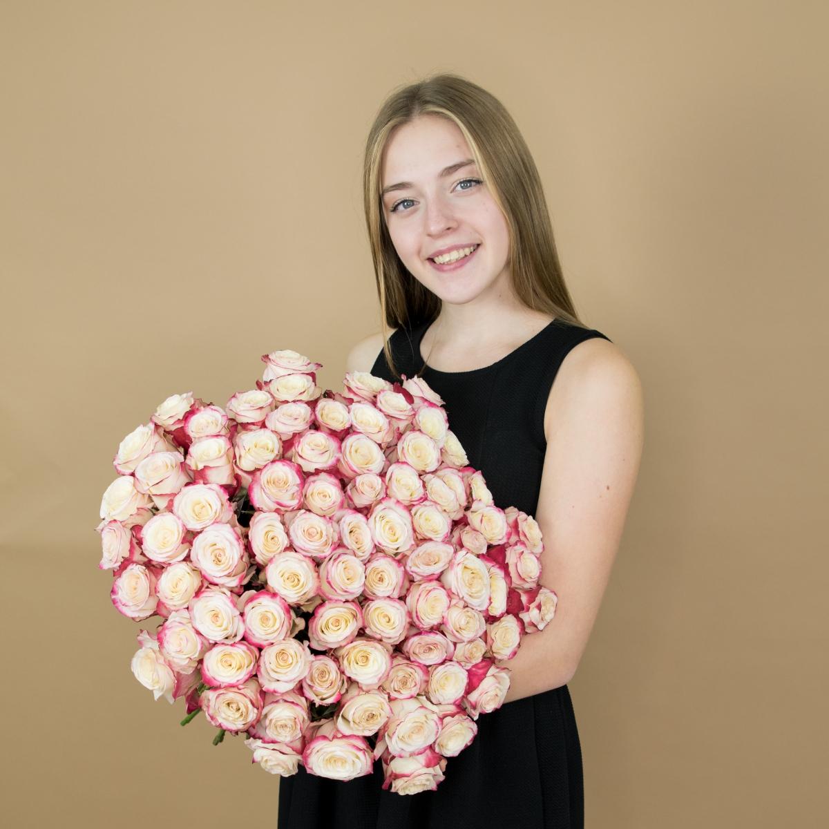 Розы красно-белые (40 см) Эквадор Артикул  99