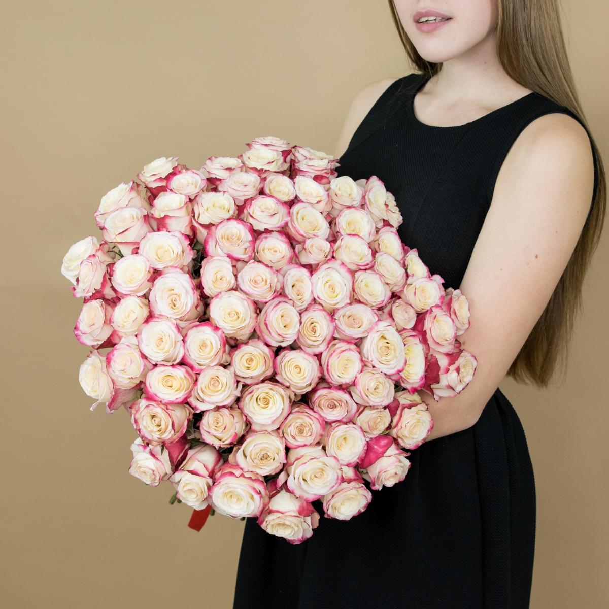 Розы красно-белые 101 шт. (40 см) код товара   17622