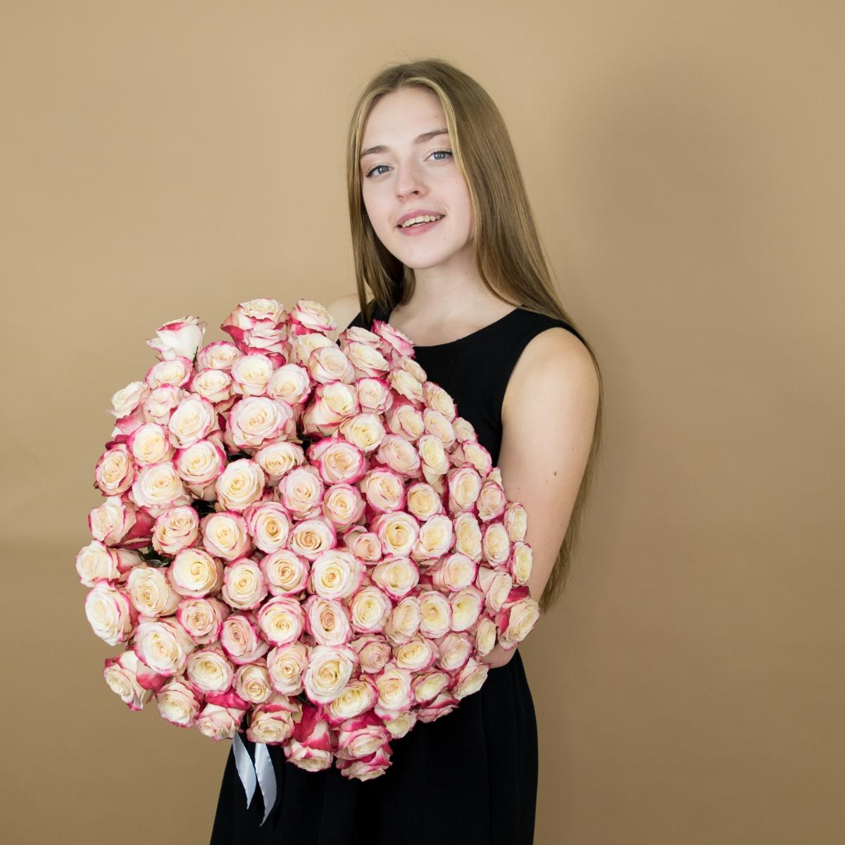 Розы красно-белые 101 шт. (40 см) код товара   17622