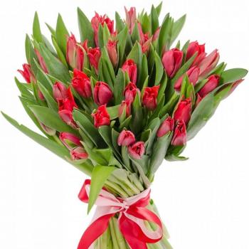 Красные тюльпаны 25 шт (артикул  28710)